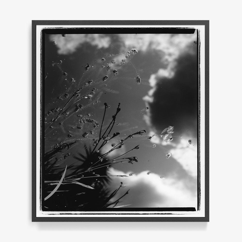 Photograph by Katie Burdon