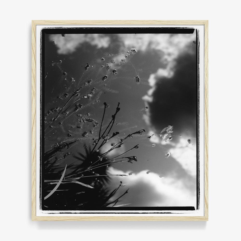 Photograph by Katie Burdon