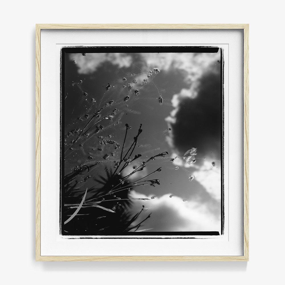 Photograph by Katie Burdon