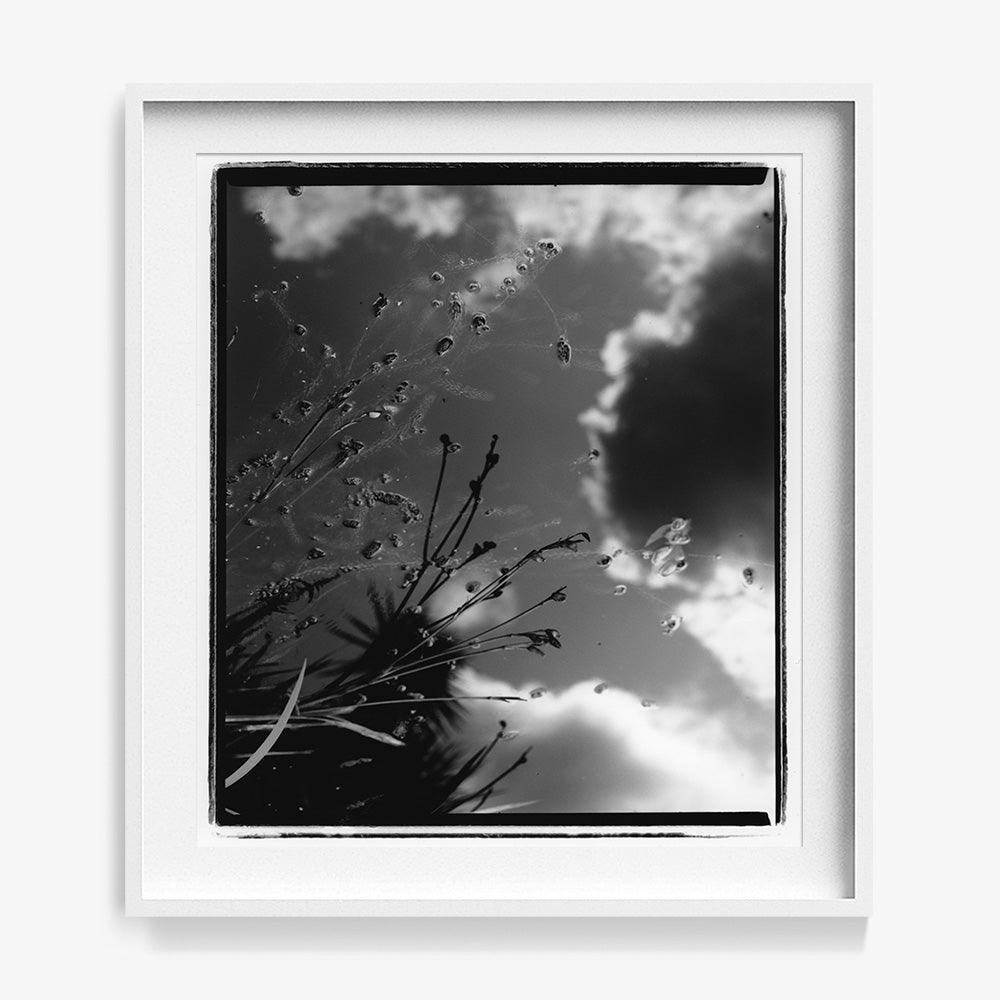 Photograph by Katie Burdon