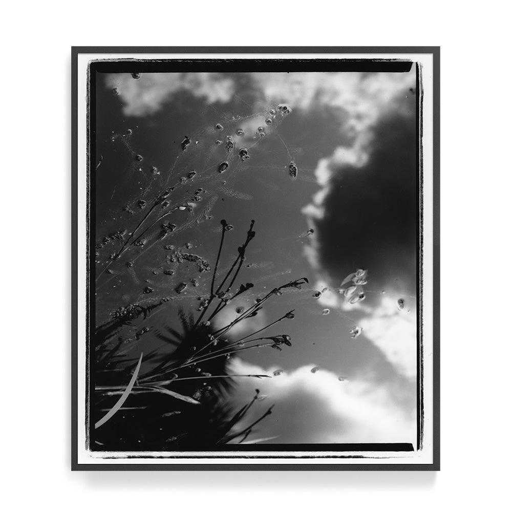 Photograph by Katie Burdon