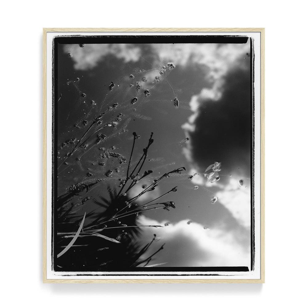 Photograph by Katie Burdon