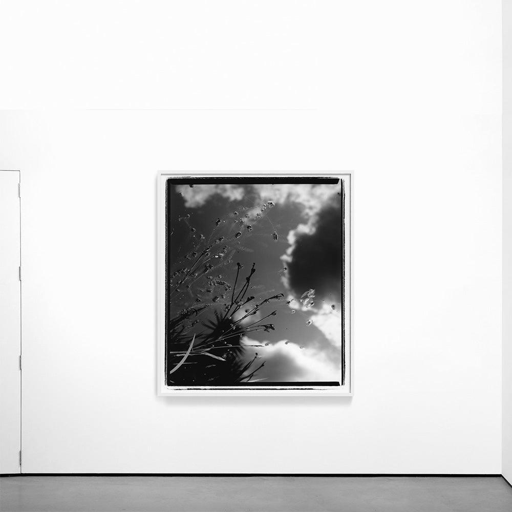 Photograph by Katie Burdon