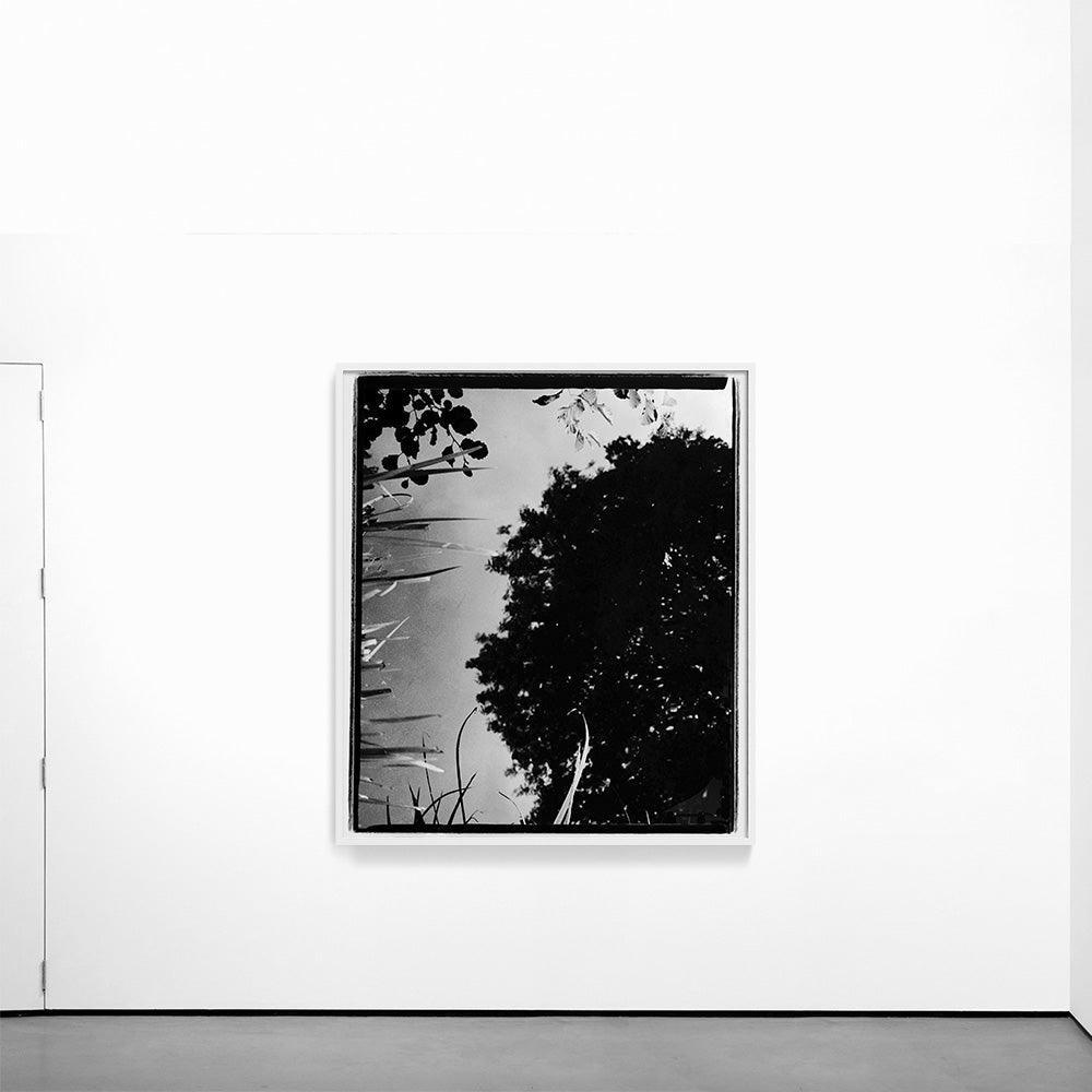 Photograph by Katie Burdon