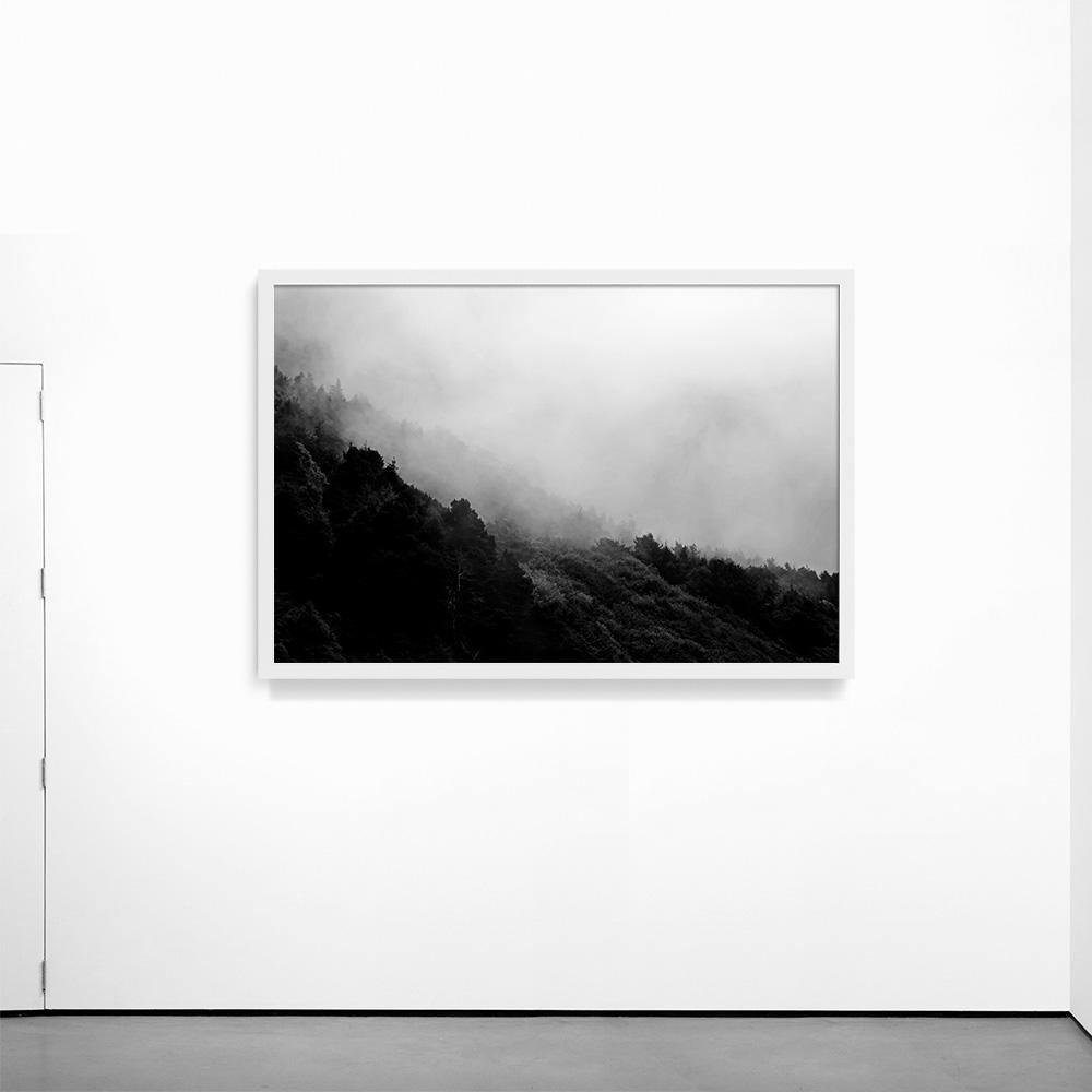 Photograph by Isaac Zoller