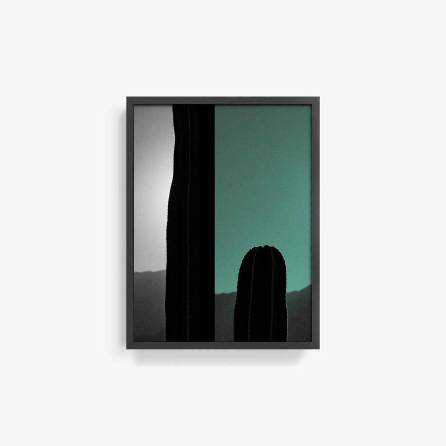 Photography by Neil Kryszak