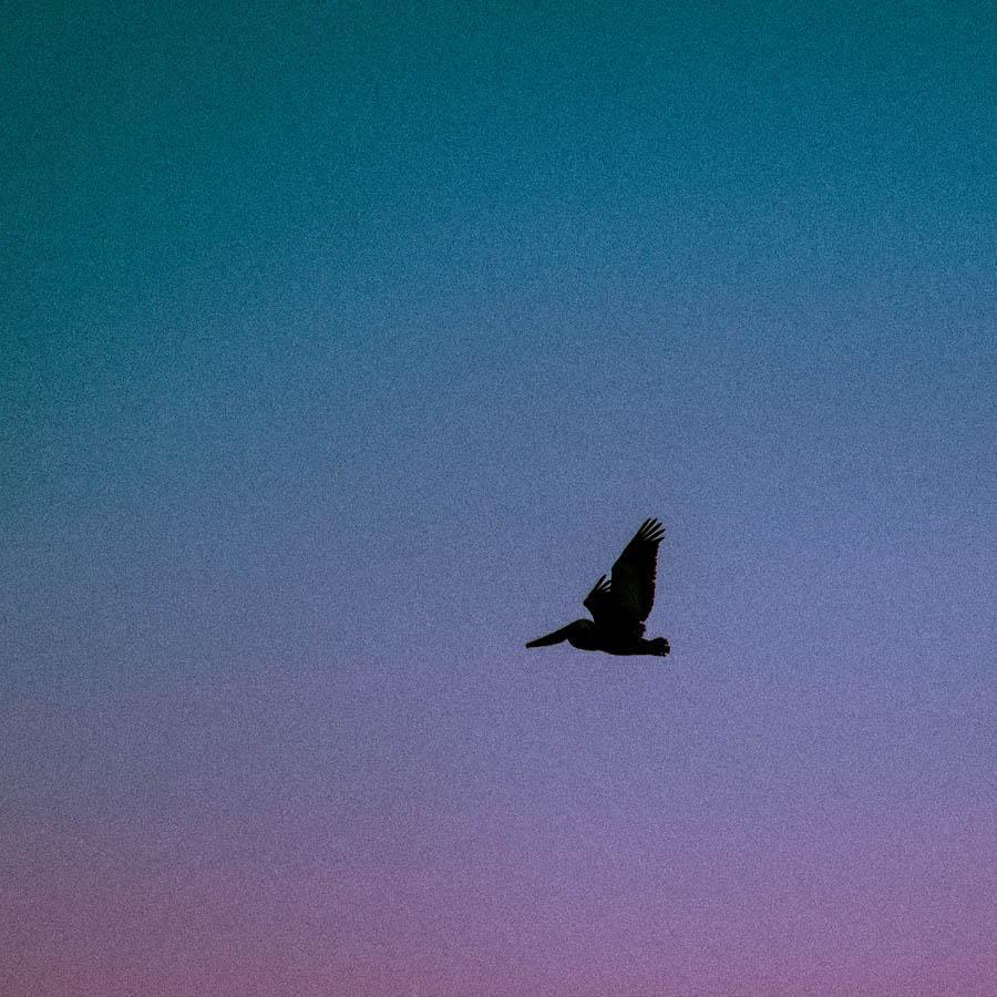 Untitled , Photography by Untitled Tappan