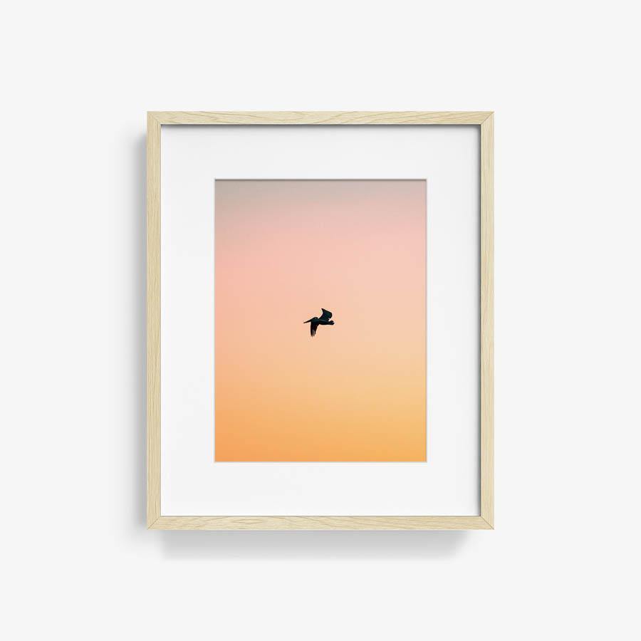 Untitled (Yellow Bird), Photograph  by  Untitled (Yellow Bird) Tappan