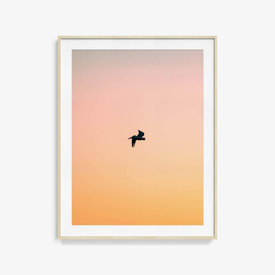 Untitled (Yellow Bird), Photograph  by  Untitled (Yellow Bird) Tappan