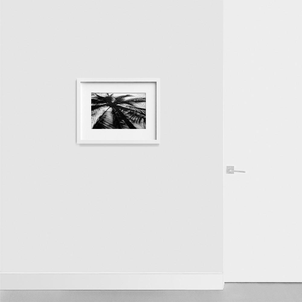 Photograph by Isaac Zoller