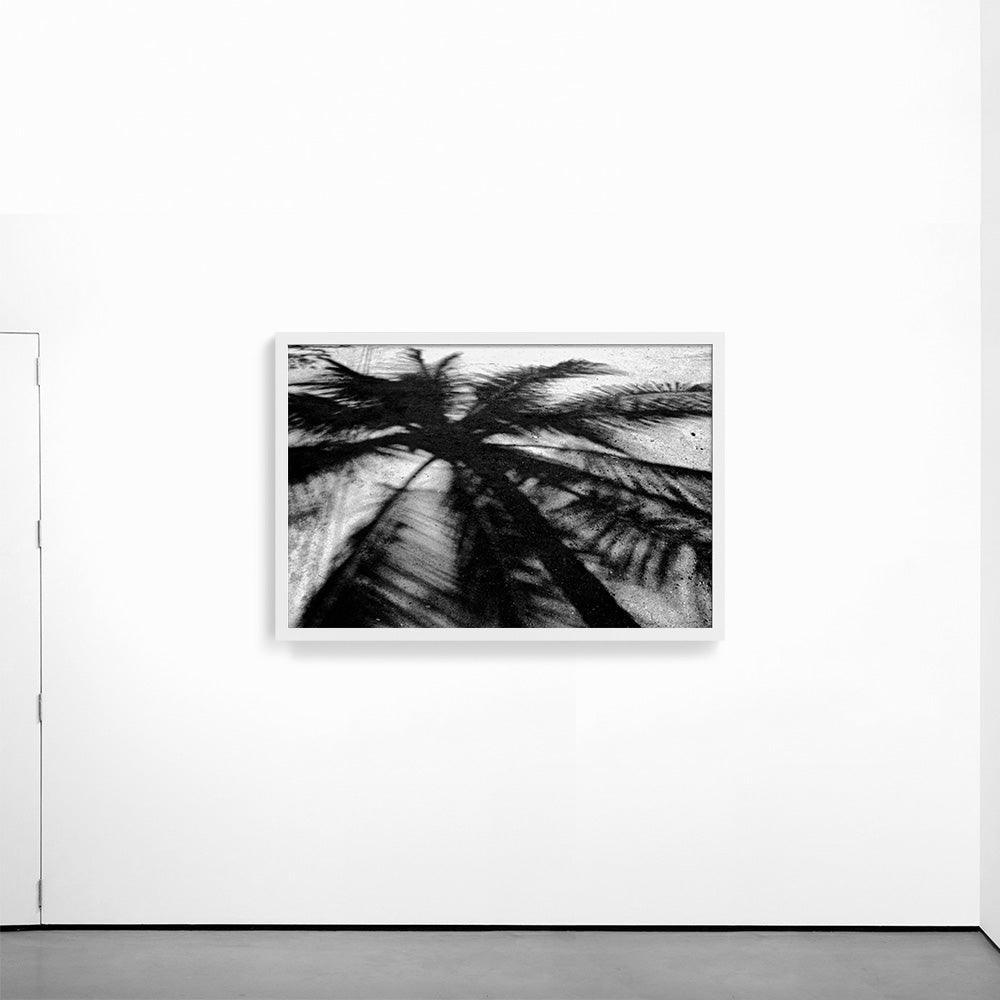 Photograph by Isaac Zoller