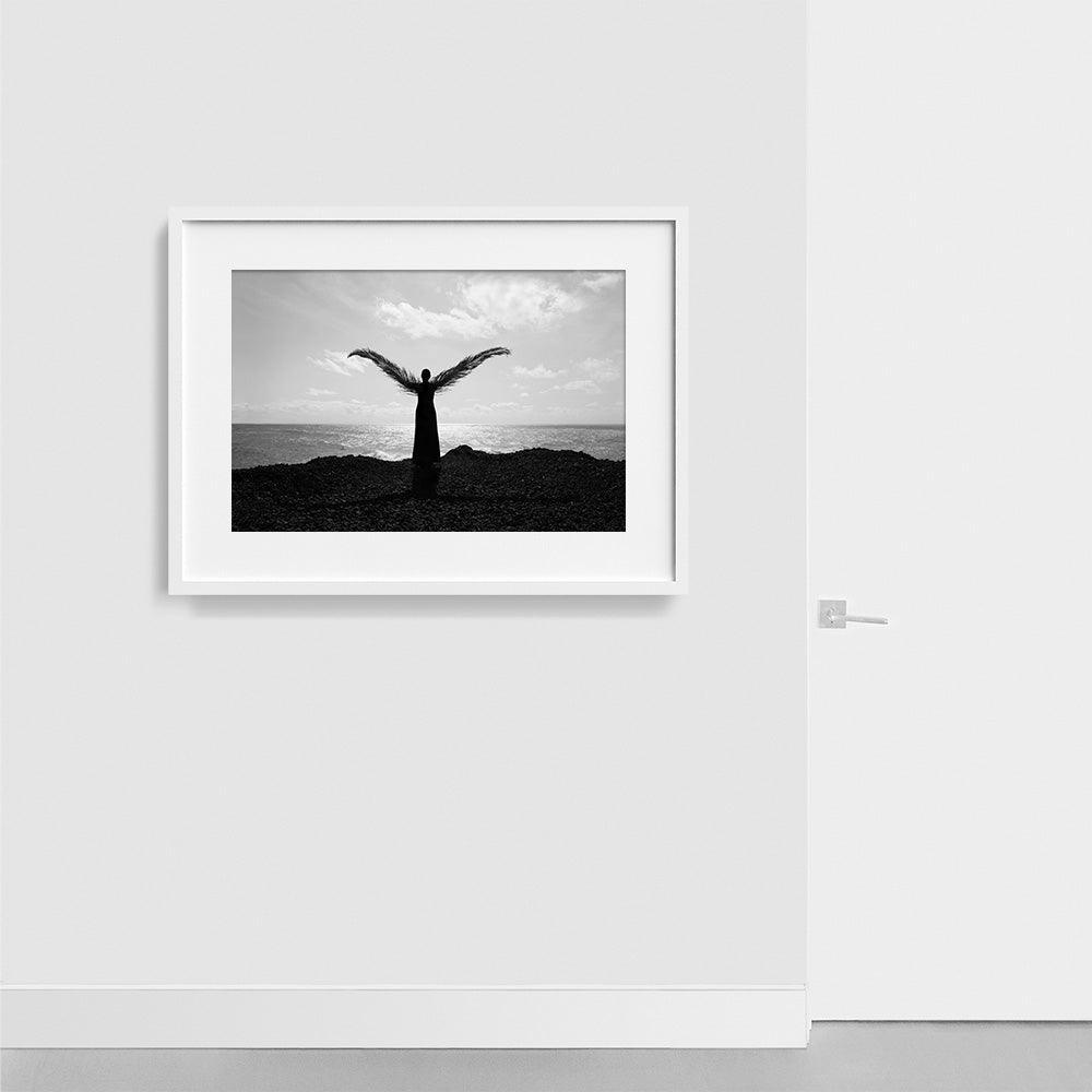 Palm wings , Photograph by Palm wings Tappan