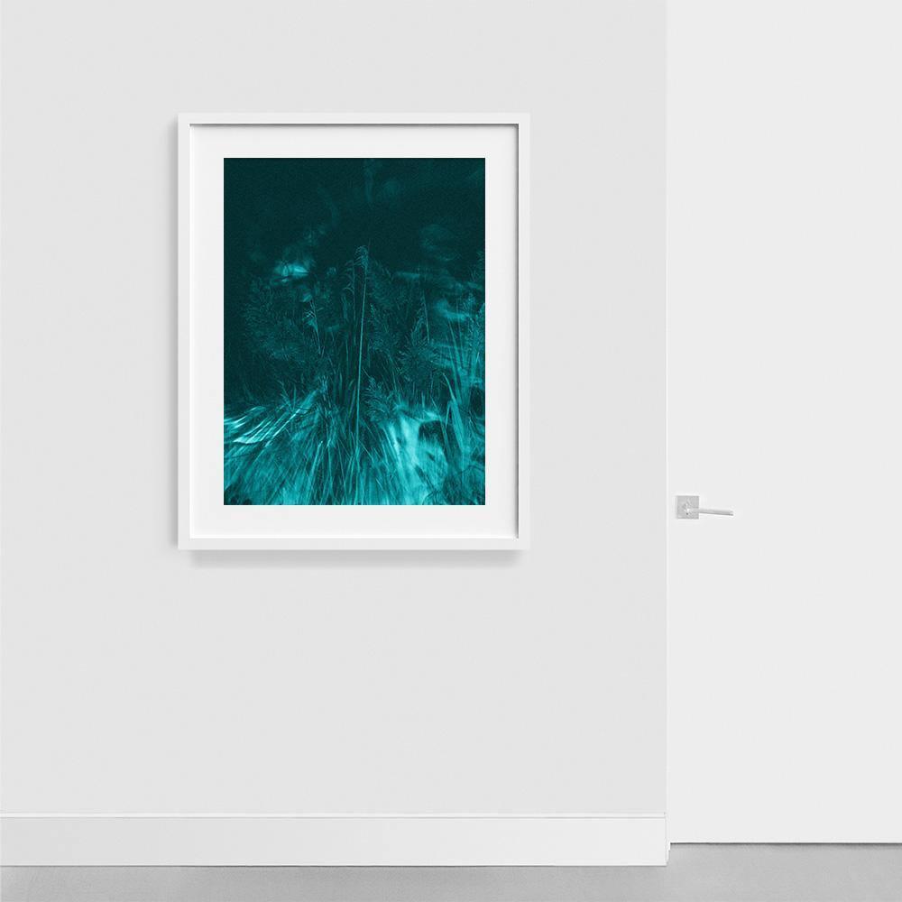 Photograph by Neil Kryszak