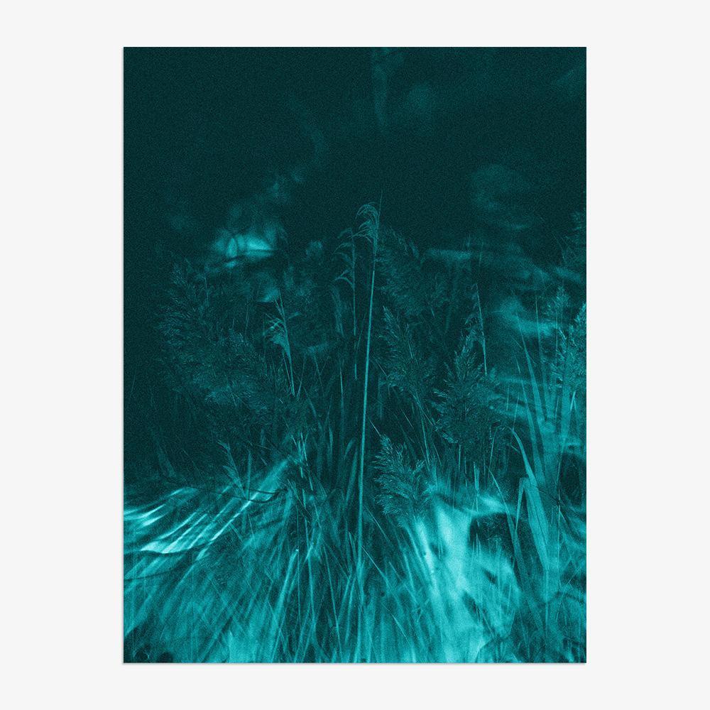 Photograph by Neil Kryszak