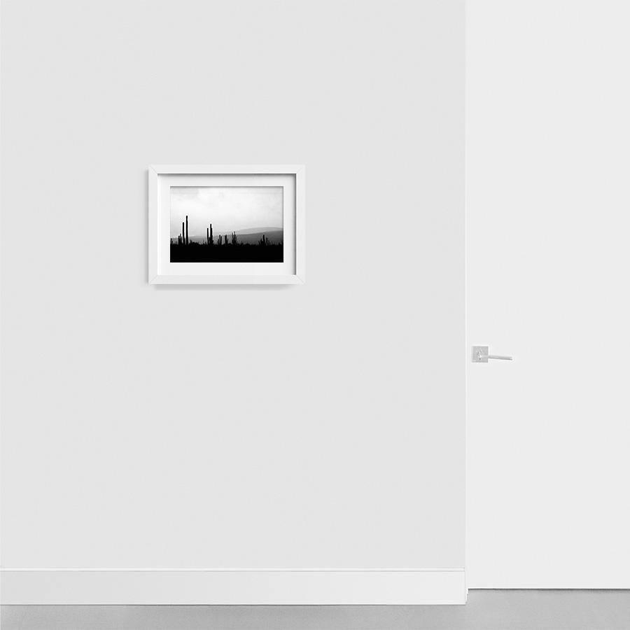 Photography by Isaac Zoller