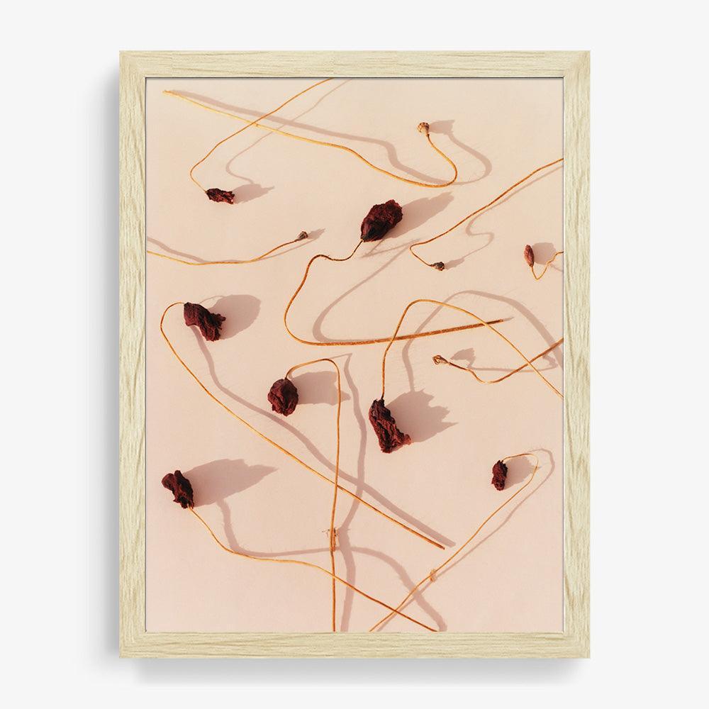 Photograph by Jacques Brun