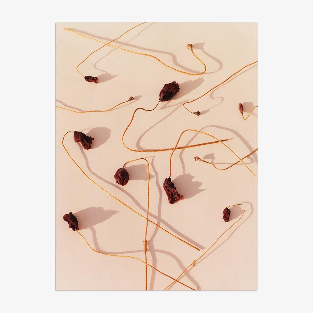 Photograph by Jacques Brun