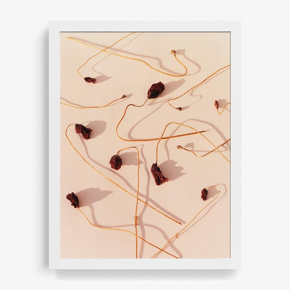 Photograph by Jacques Brun