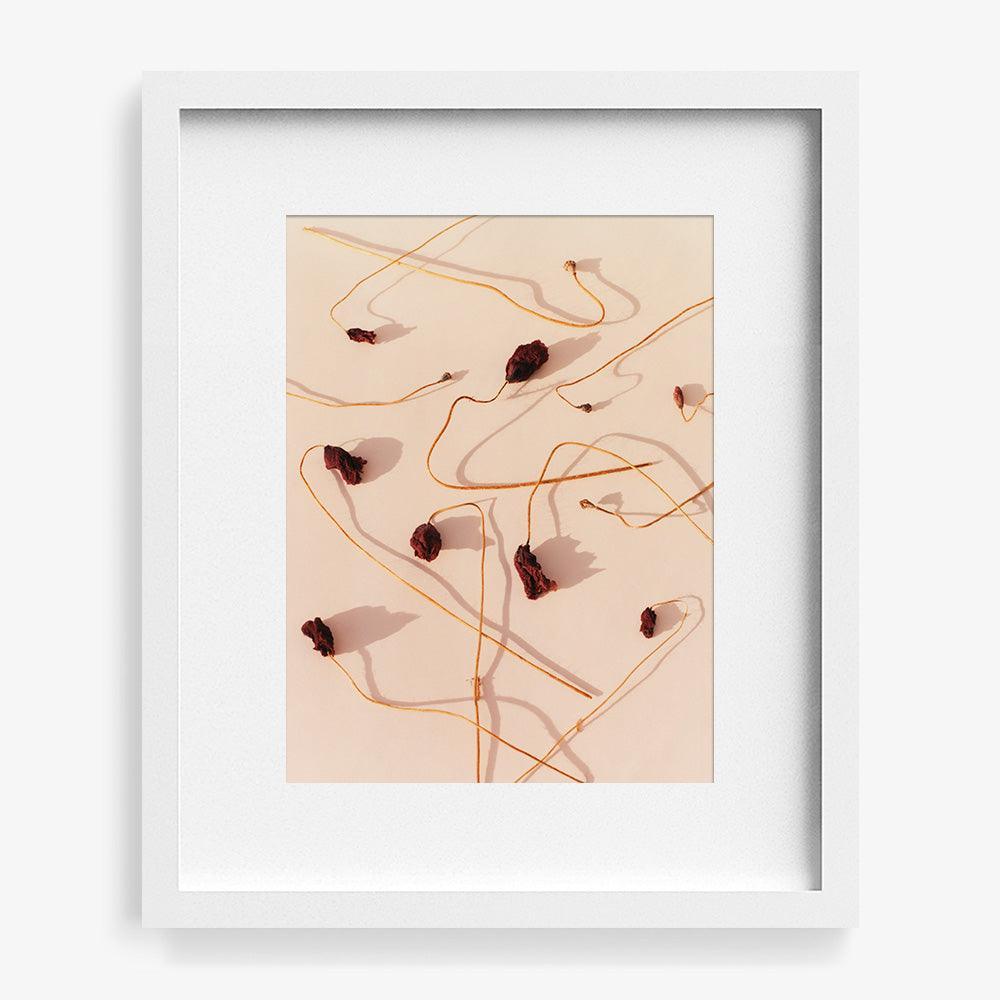 Photograph by Jacques Brun