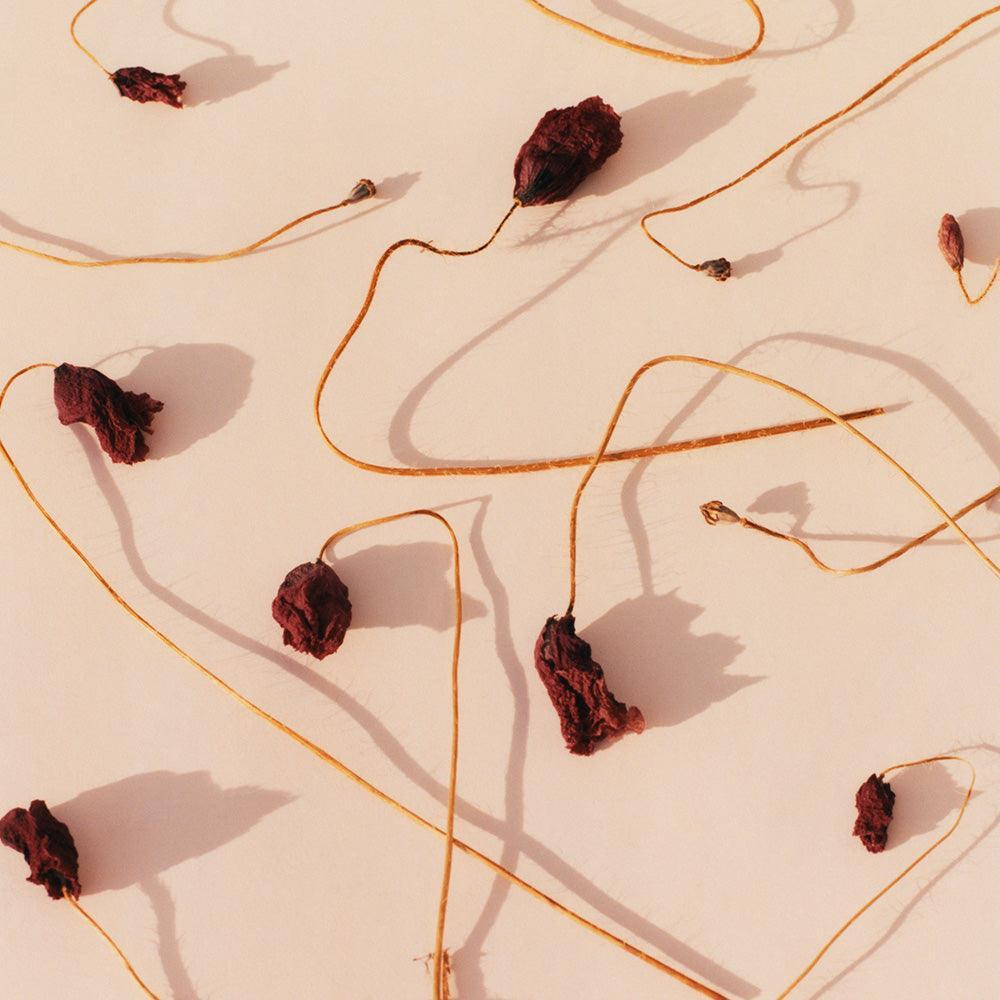 Photograph by Jacques Brun