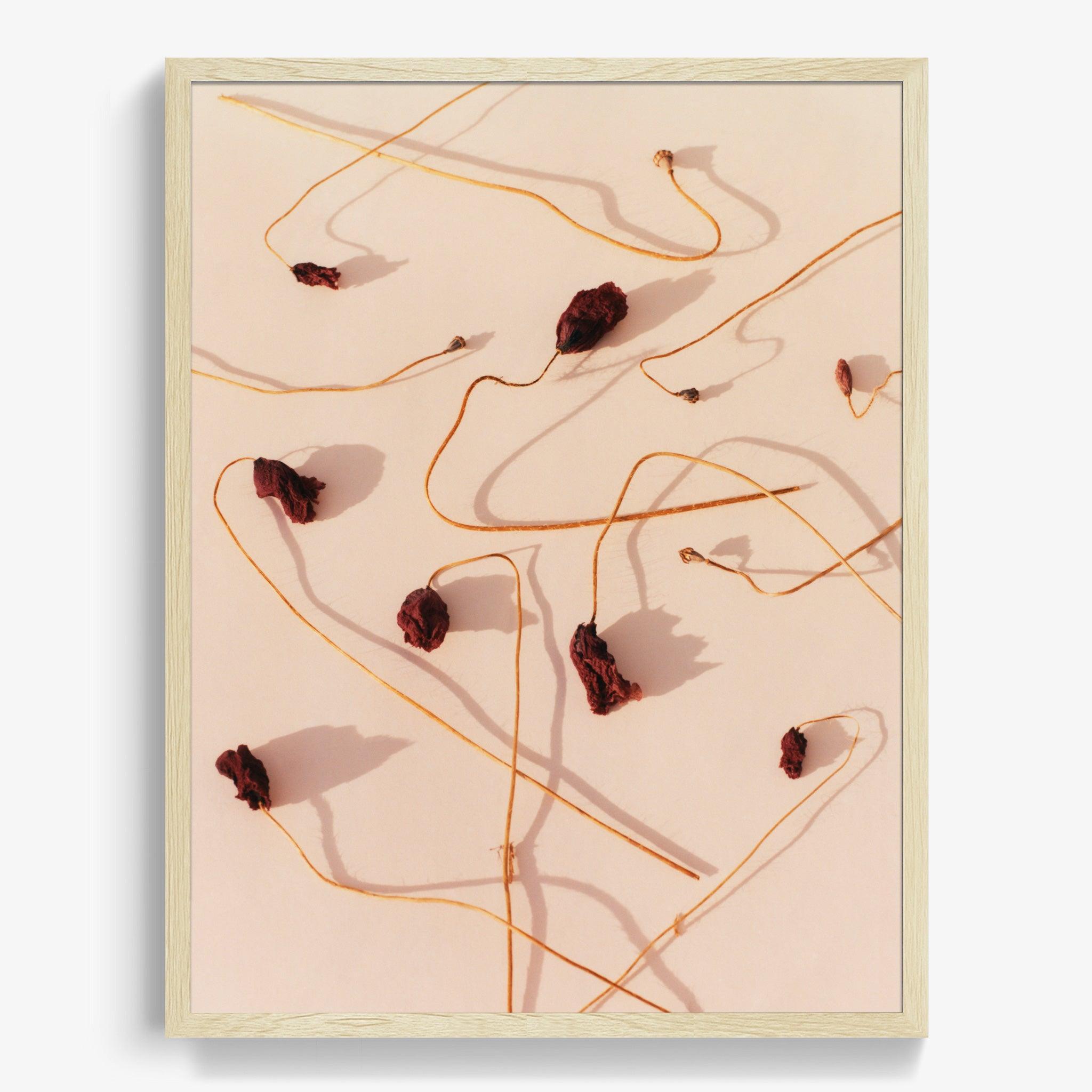 Photograph by Jacques Brun