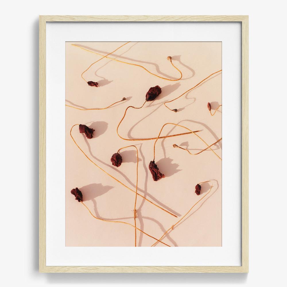 Photograph by Jacques Brun