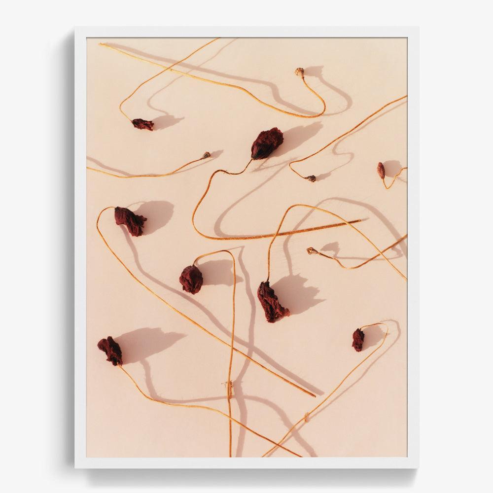 Photograph by Jacques Brun