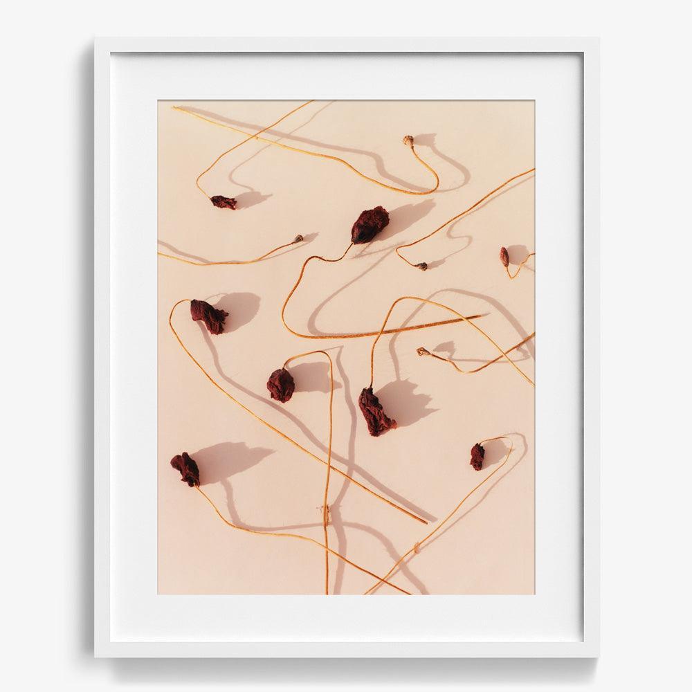 Photograph by Jacques Brun