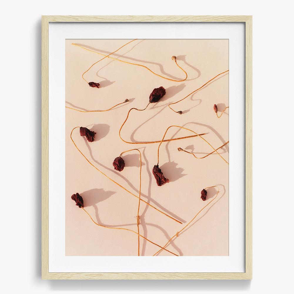 Photograph by Jacques Brun