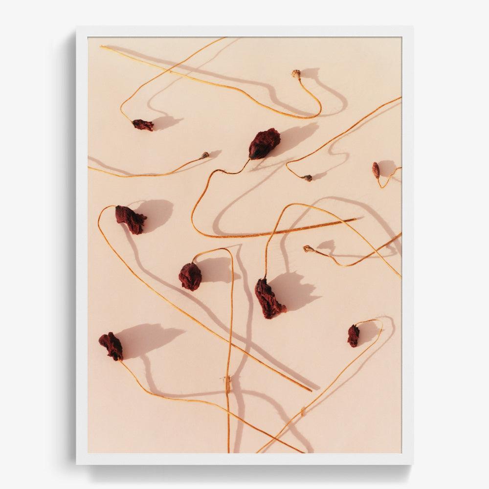 Photograph by Jacques Brun