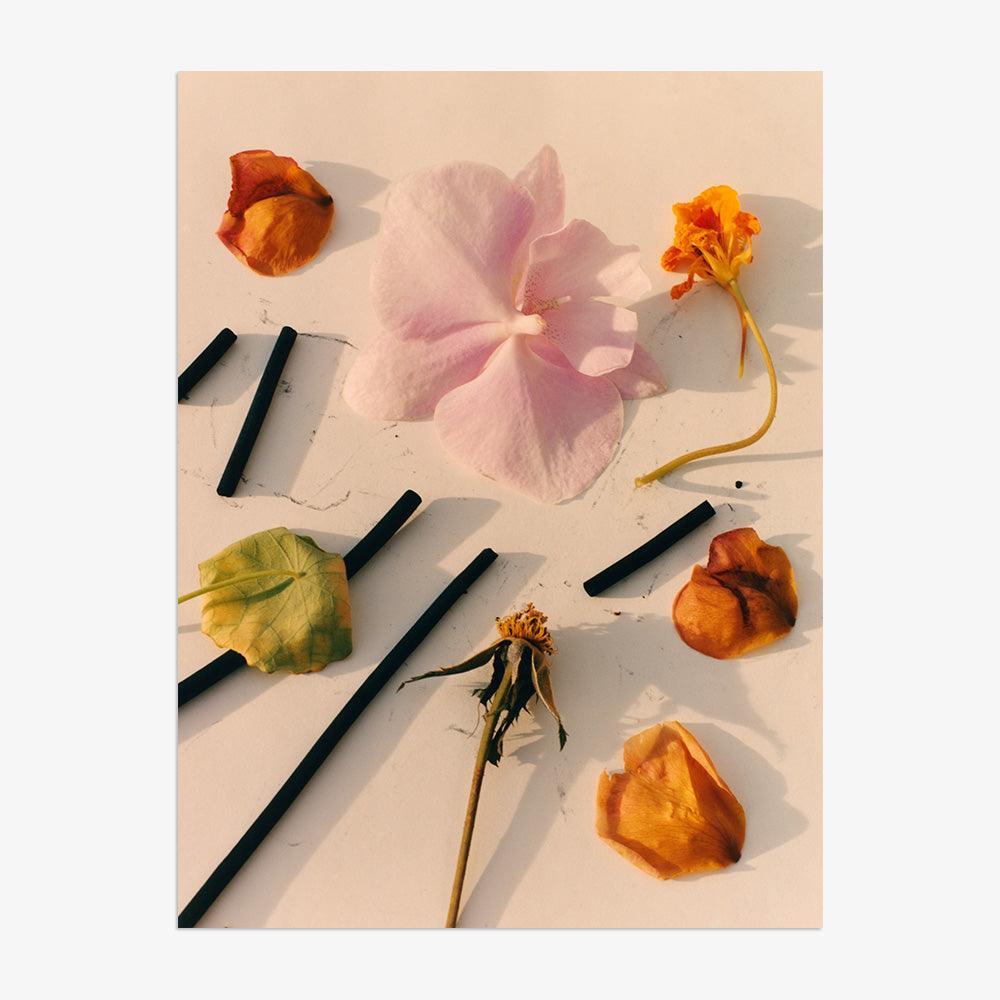 Photograph by Jacques Brun