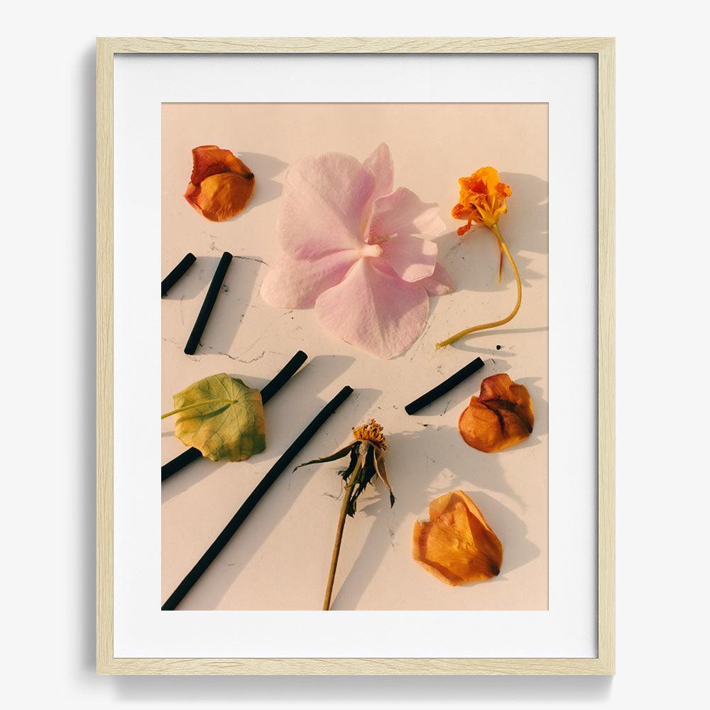 Photograph by Jacques Brun