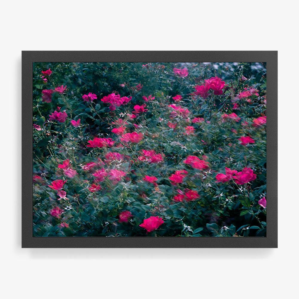 Photograph by Neil Kryszak