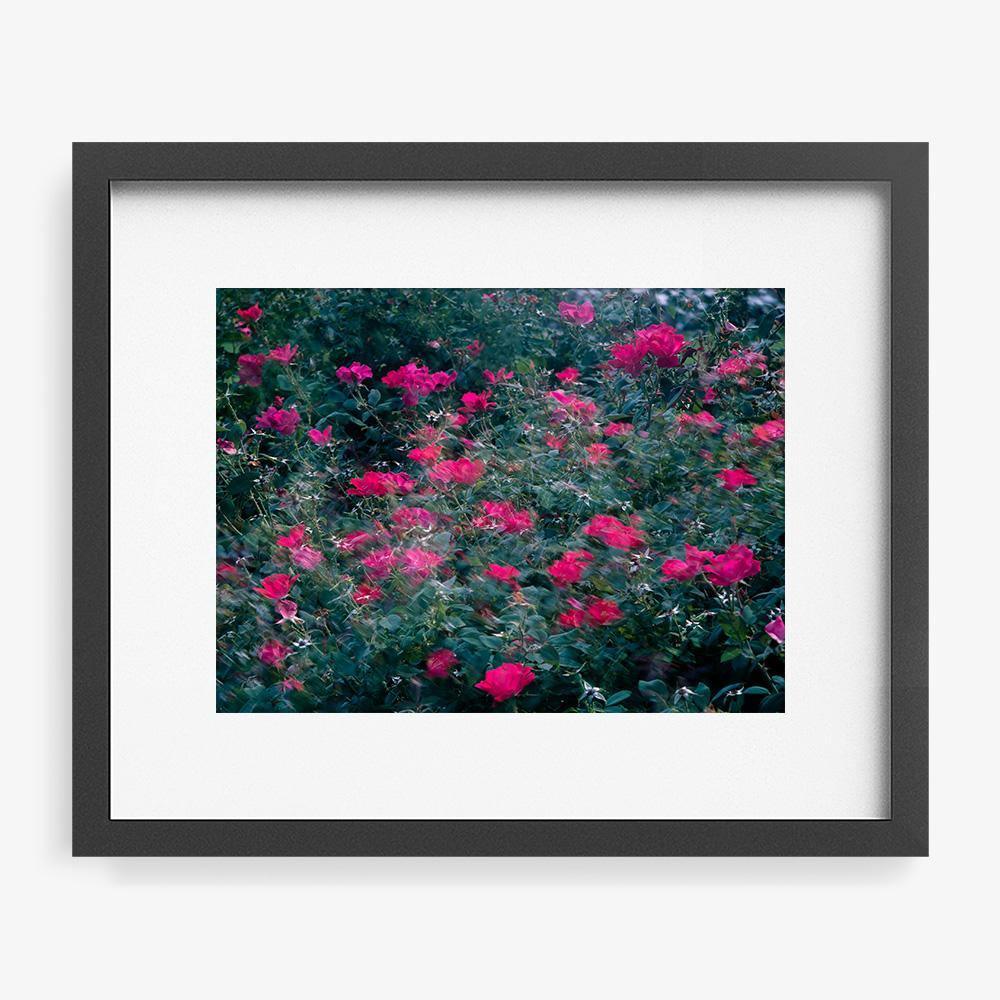 Photograph by Neil Kryszak