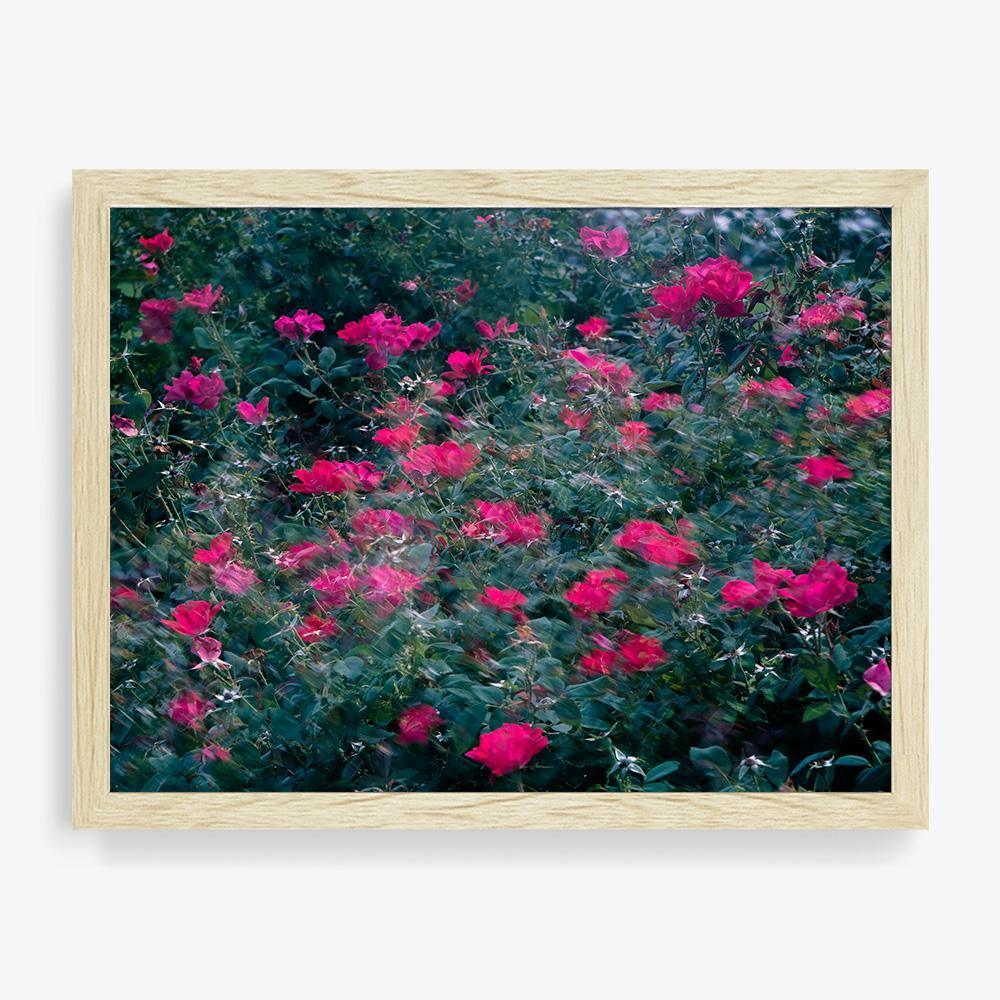 Photograph by Neil Kryszak