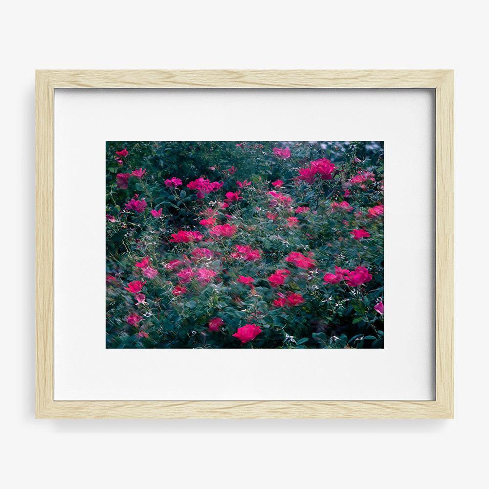 Photograph by Neil Kryszak