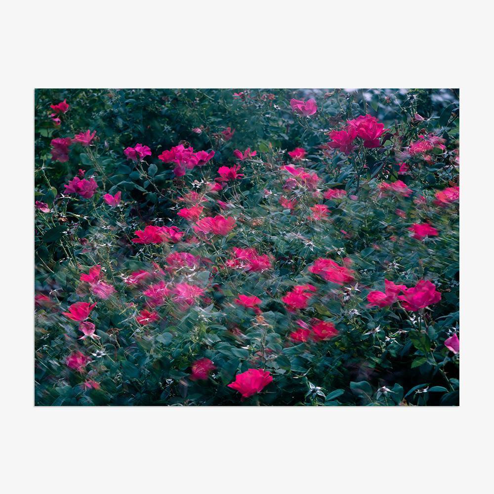 Photograph by Neil Kryszak