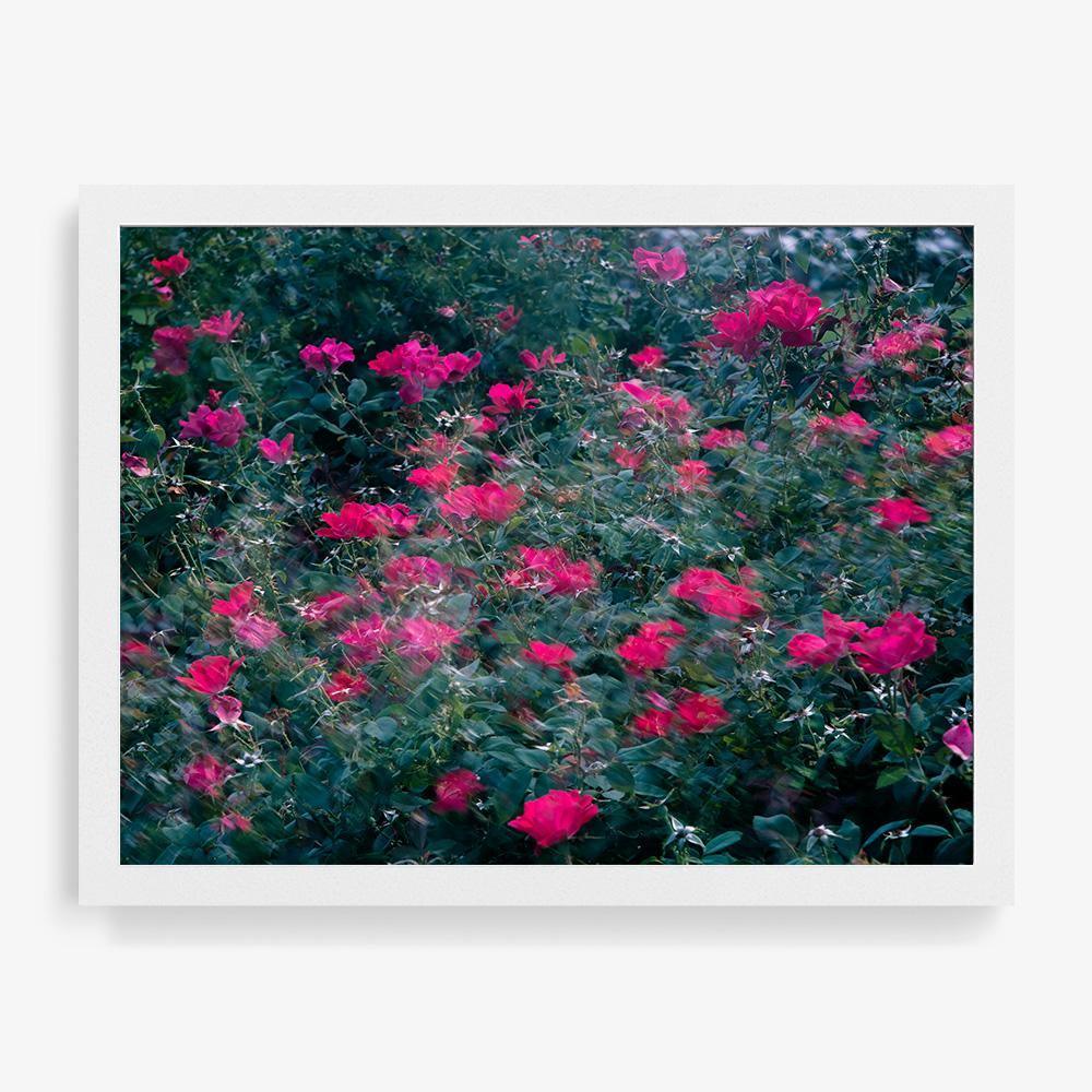 Photograph by Neil Kryszak