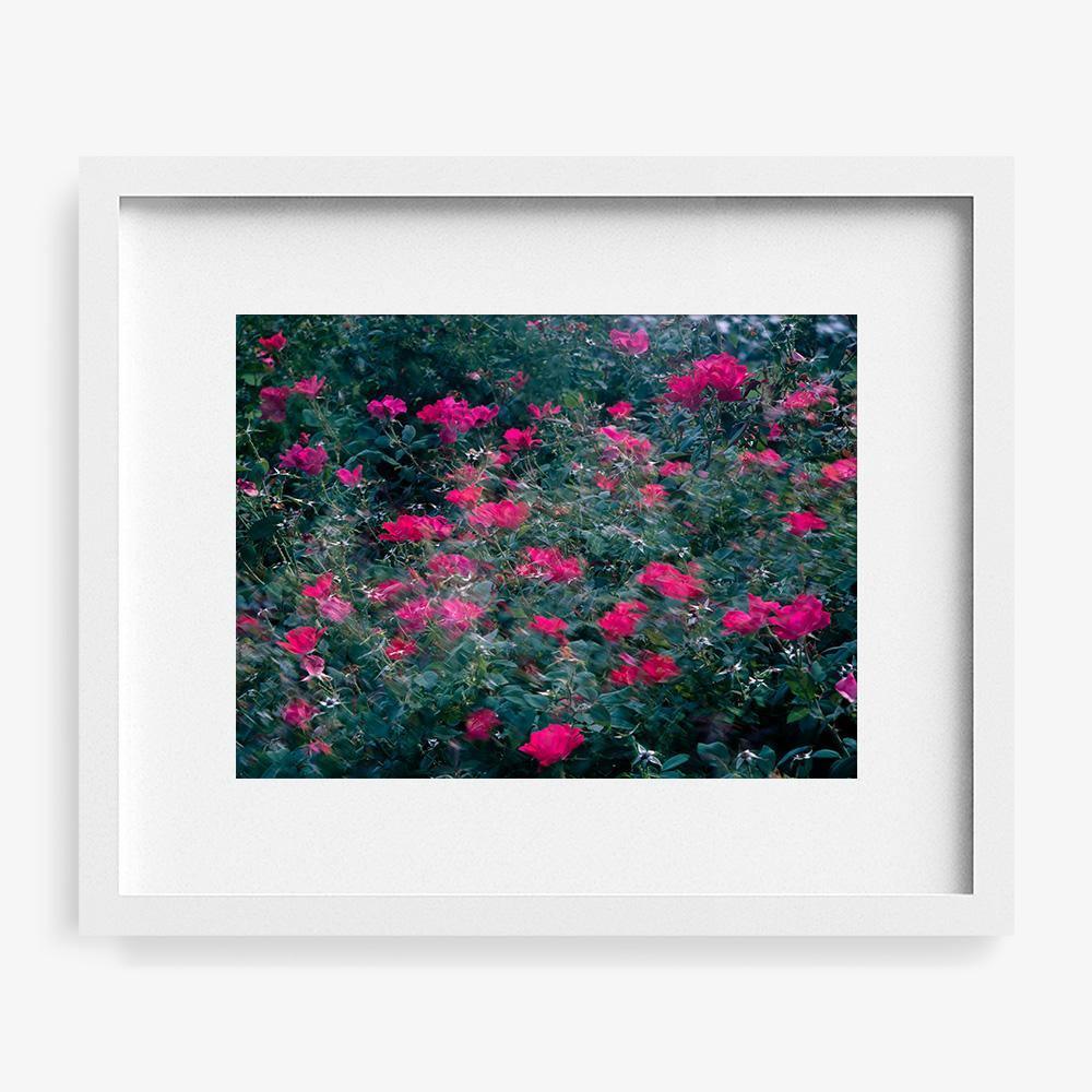 Photograph by Neil Kryszak