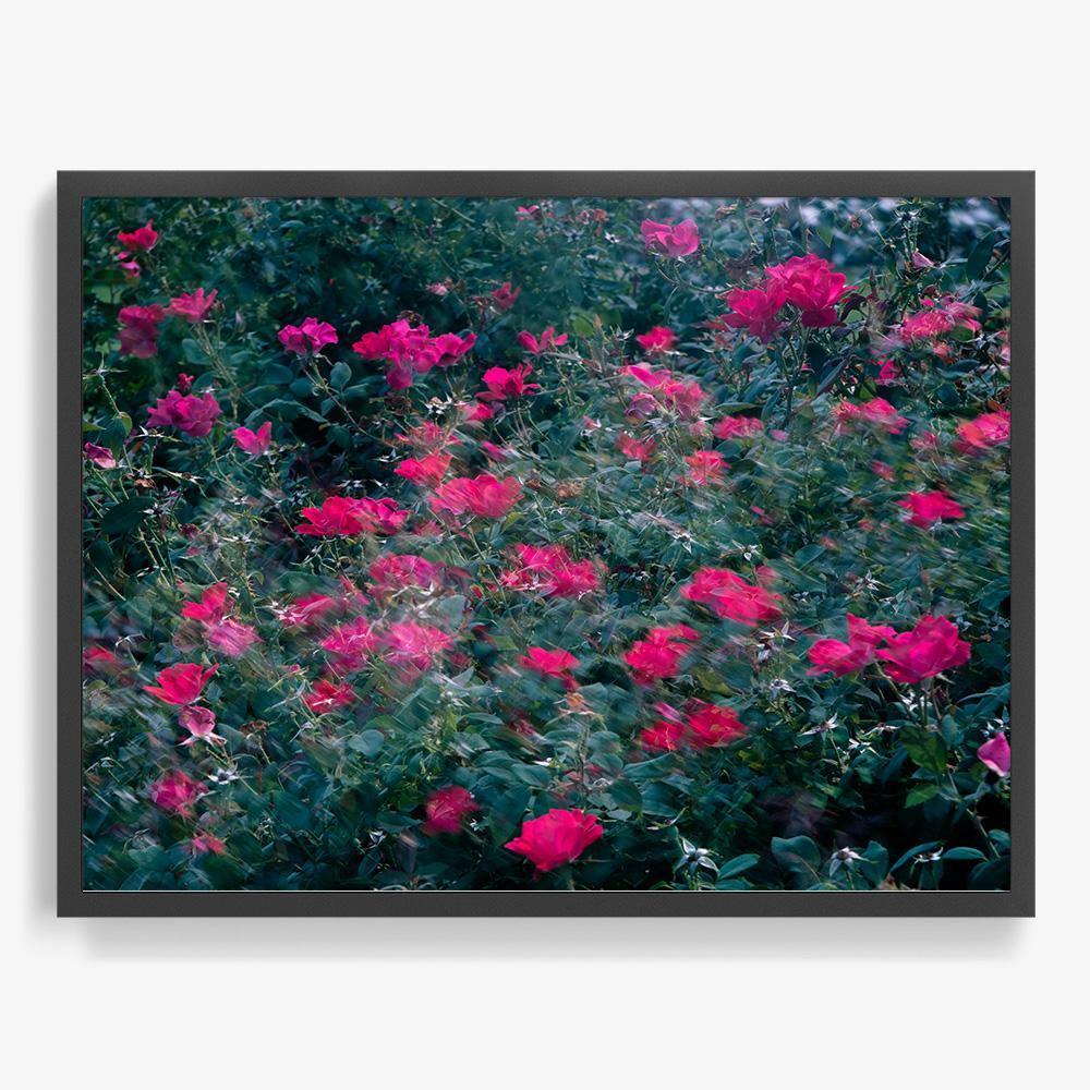 Photograph by Neil Kryszak