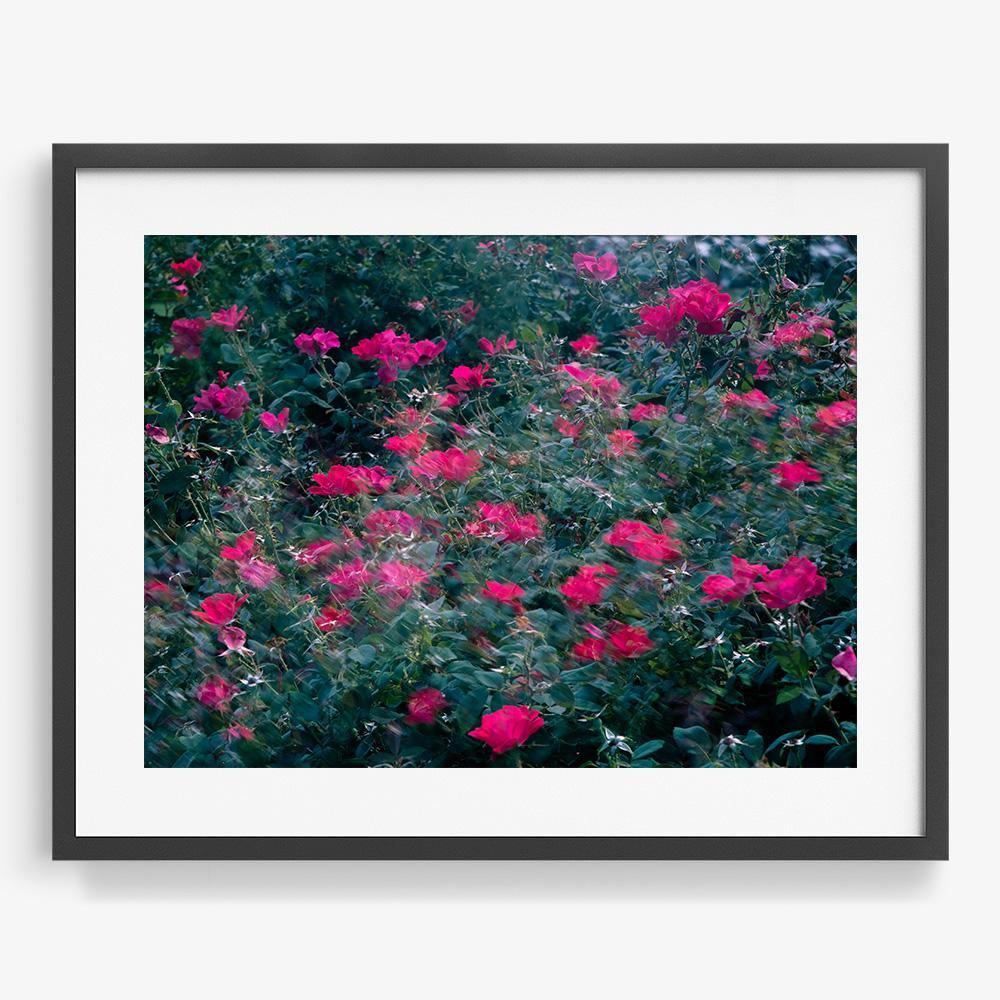 Photograph by Neil Kryszak