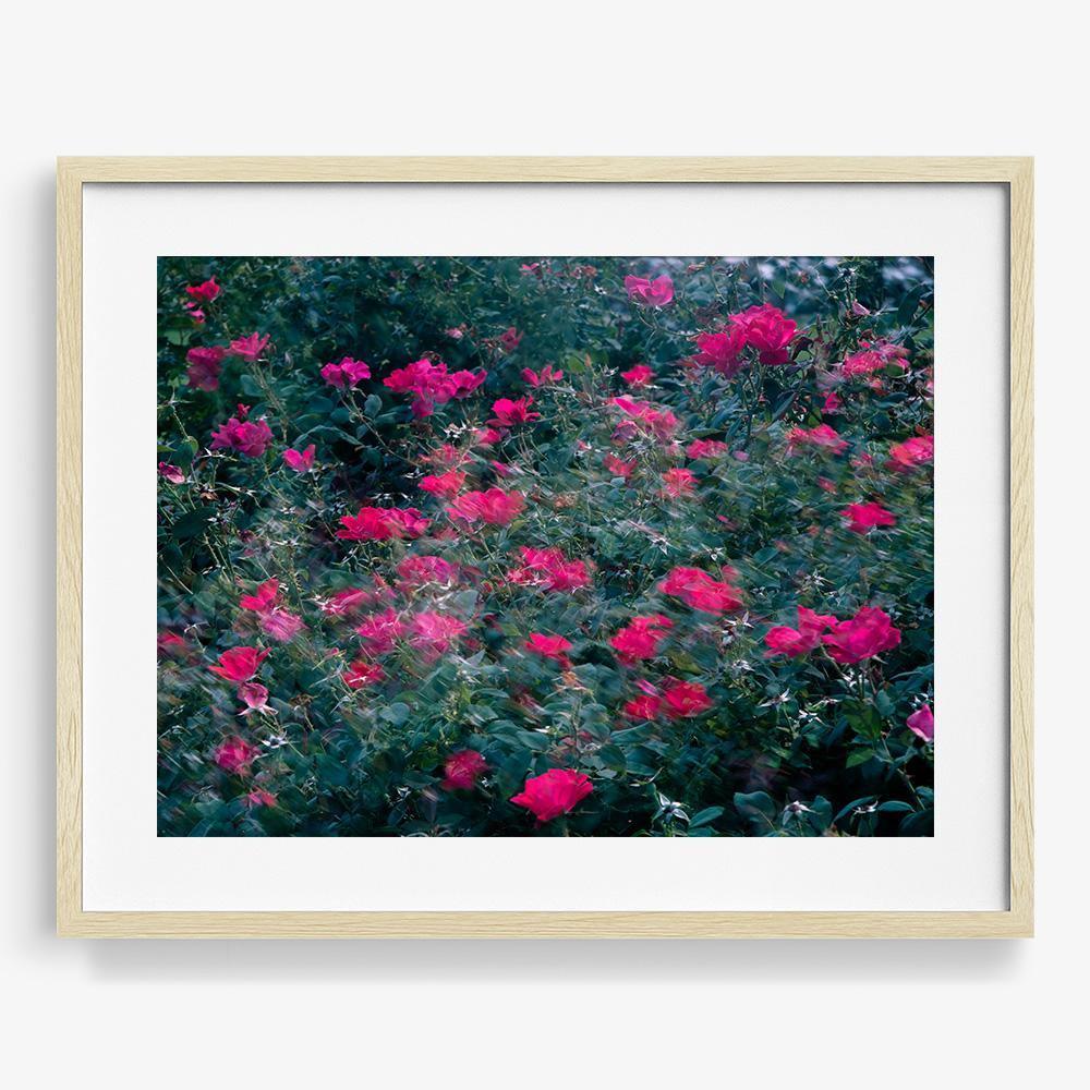 Photograph by Neil Kryszak