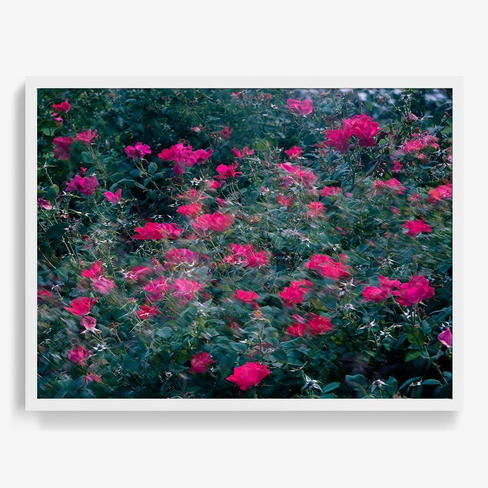 Photograph by Neil Kryszak