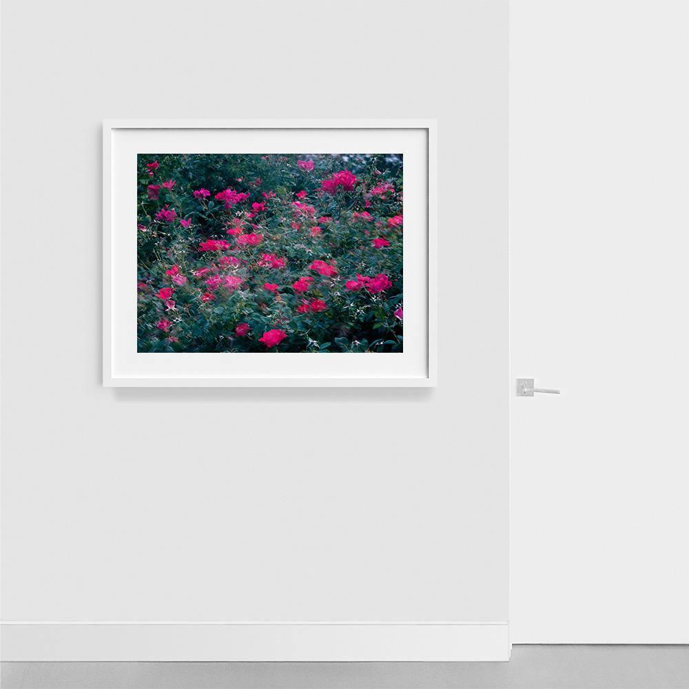 Photograph by Neil Kryszak