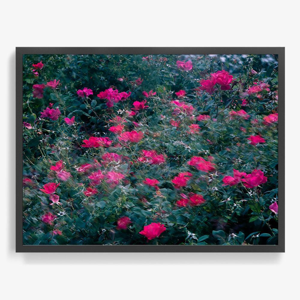 Photograph by Neil Kryszak