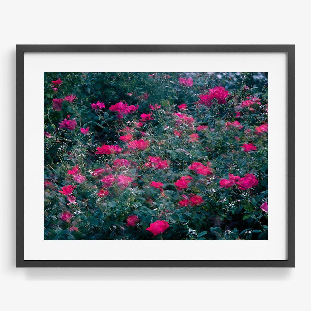 Photograph by Neil Kryszak