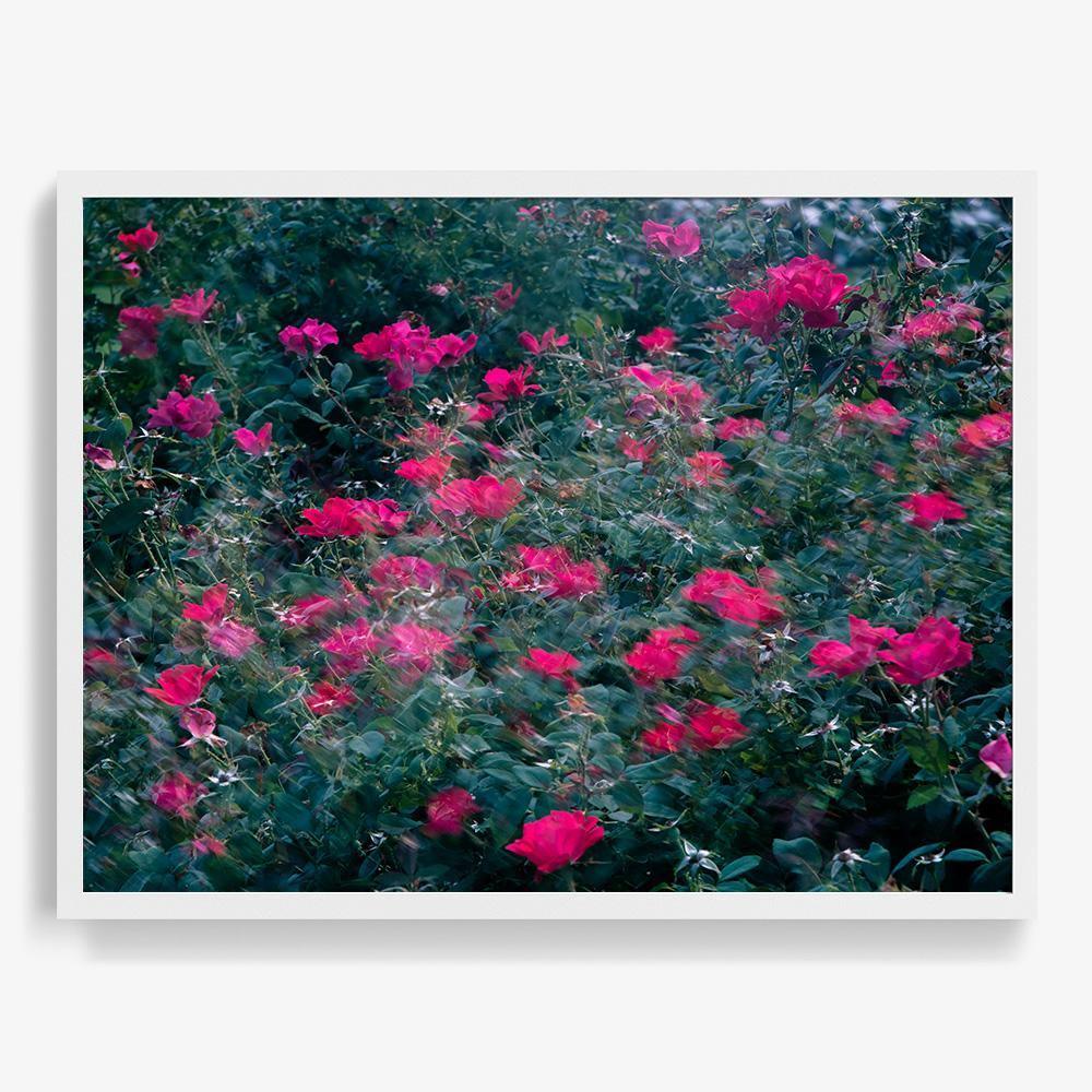 Photograph by Neil Kryszak