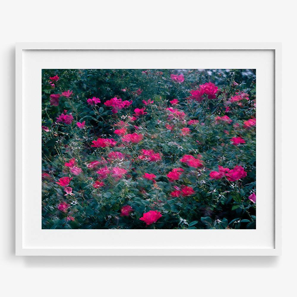 Photograph by Neil Kryszak