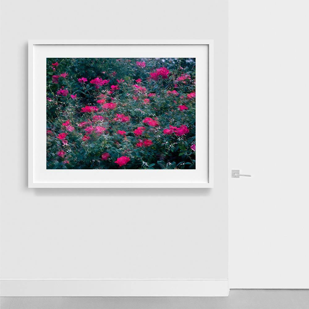 Photograph by Neil Kryszak