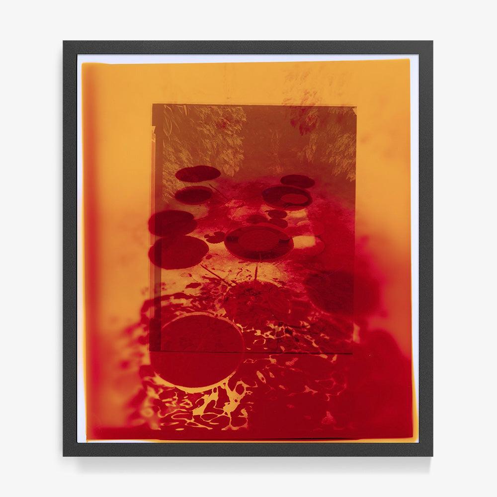 Photograph by Katie Burdon